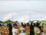 , Stretch Tents